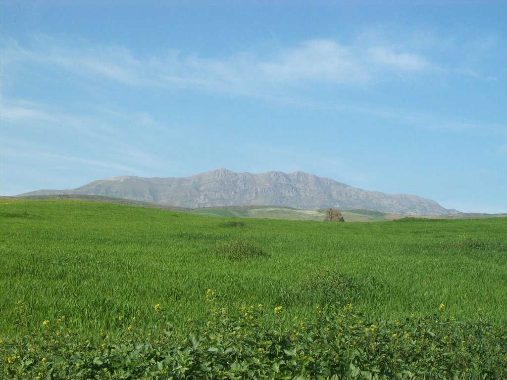 Djebel Mcid Aïcha (La montagne) by Leila Merrad