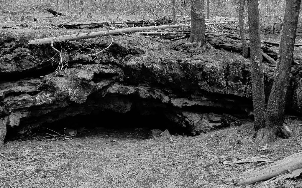 Surveyors Ice Cave. Deschutes National Forest. Oregon. August 18, 2012. by A. F. Litt