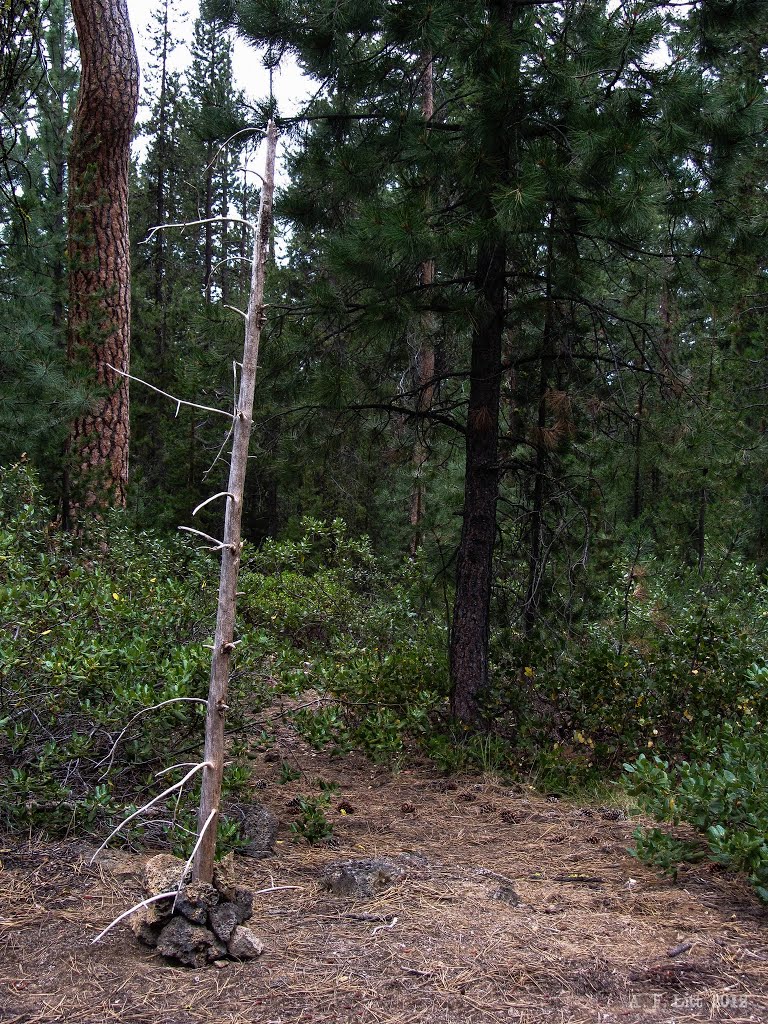 2012 Cairn. Surveyors Ice Cave. Deschutes National Forest. Oregon. August 18, 2012. by A. F. Litt