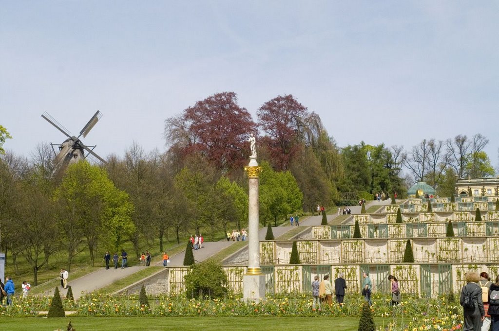 Schloss Sanssouci, Potsdam by messzejaro