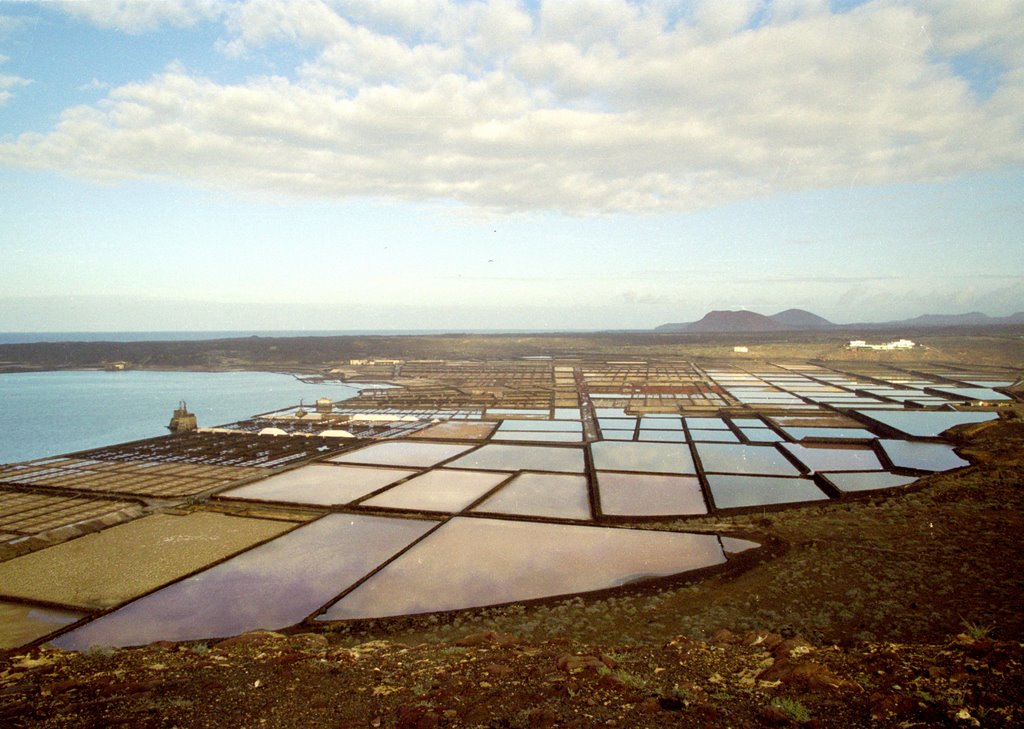 Salinas by Leon Peute