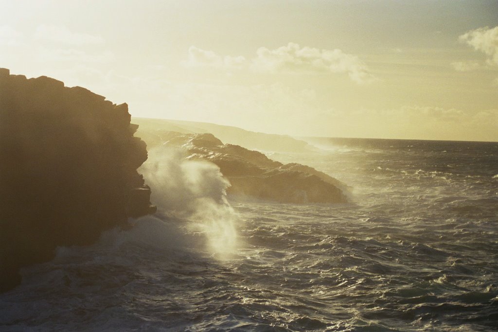 Colloo Head 3 by Anton Wiedenbauer