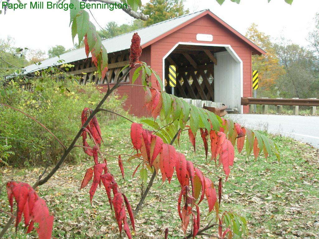 Paper mill bridge, Bennington, Vermont by annemag31