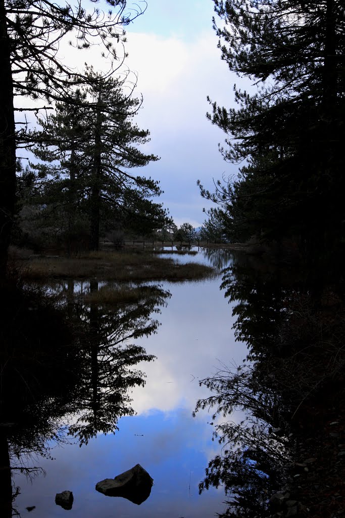 Reflections by koullis koutsogiannis