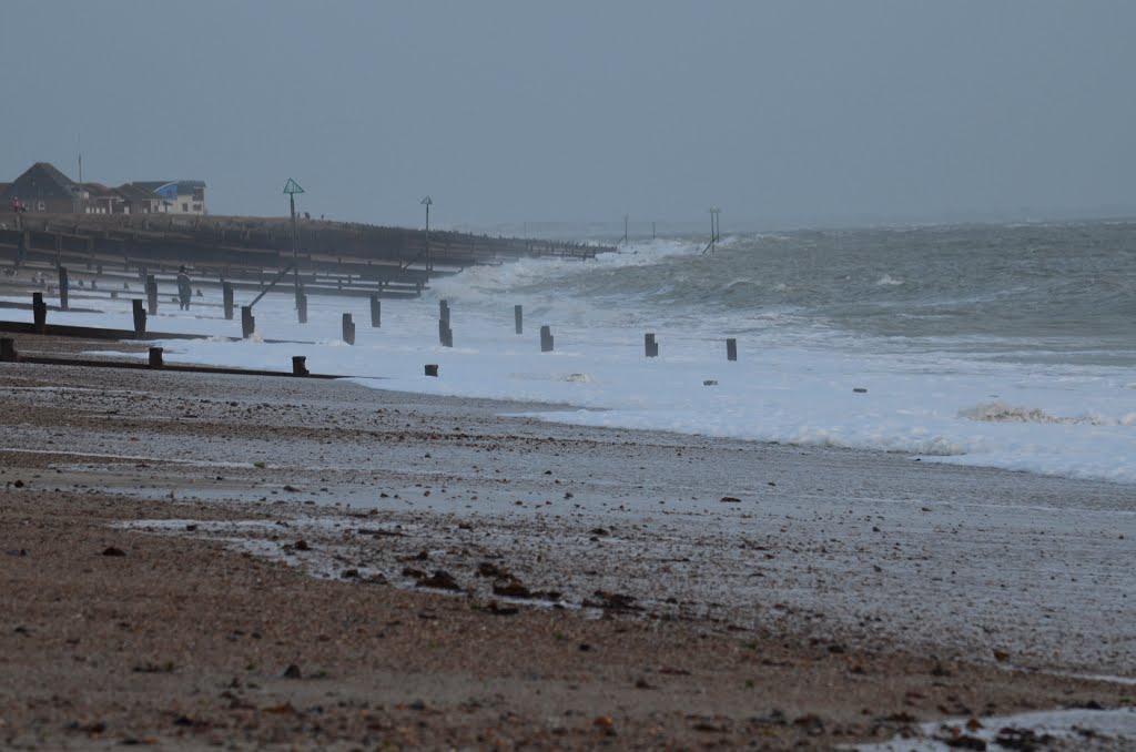 Winter Waves by Andrew N Parker