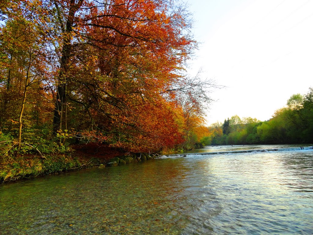 River Töss by Cumizebica