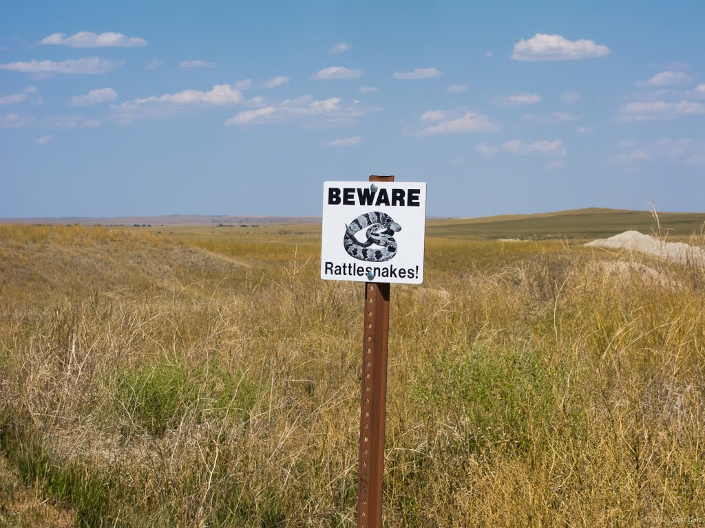 Badlands National Park, South Dakota: Beware Rattlesnakes by Scott Gore