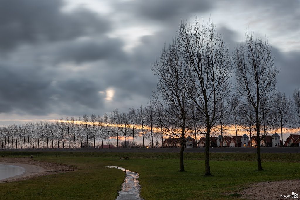 Winter Trees, Nieuw Zeeland by © BraCom (Bram)