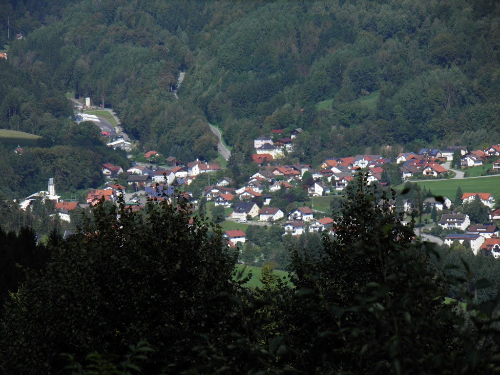 Blick nach Obernzell Bayern 2011 by 192mscbert