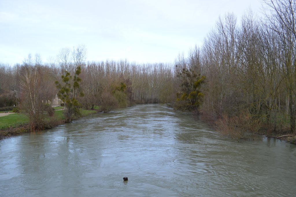 La Seine en crue - 31/12/12 - RT by STORM CHASER 10 - RAGOT Thomas