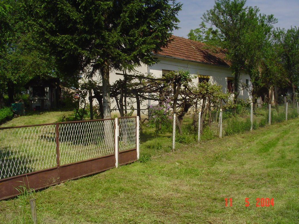 Grubišno Polje, Hrvatska (Croatia, Lipovac) by mstex