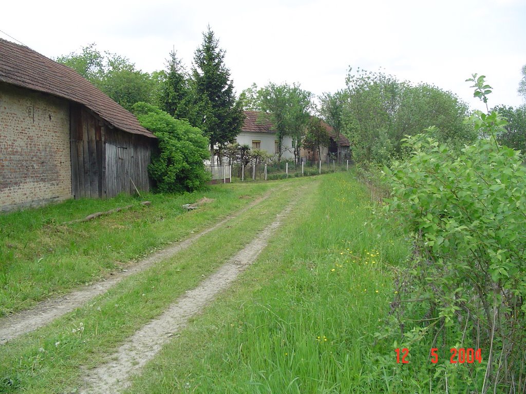 Grubišno Polje, Hrvatska (Croatia), Lipovac by mstex