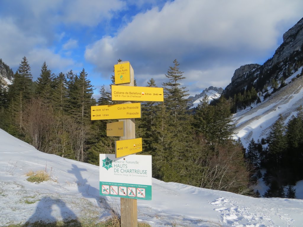 Col des Ayes (alt. 1538m) by rdtome