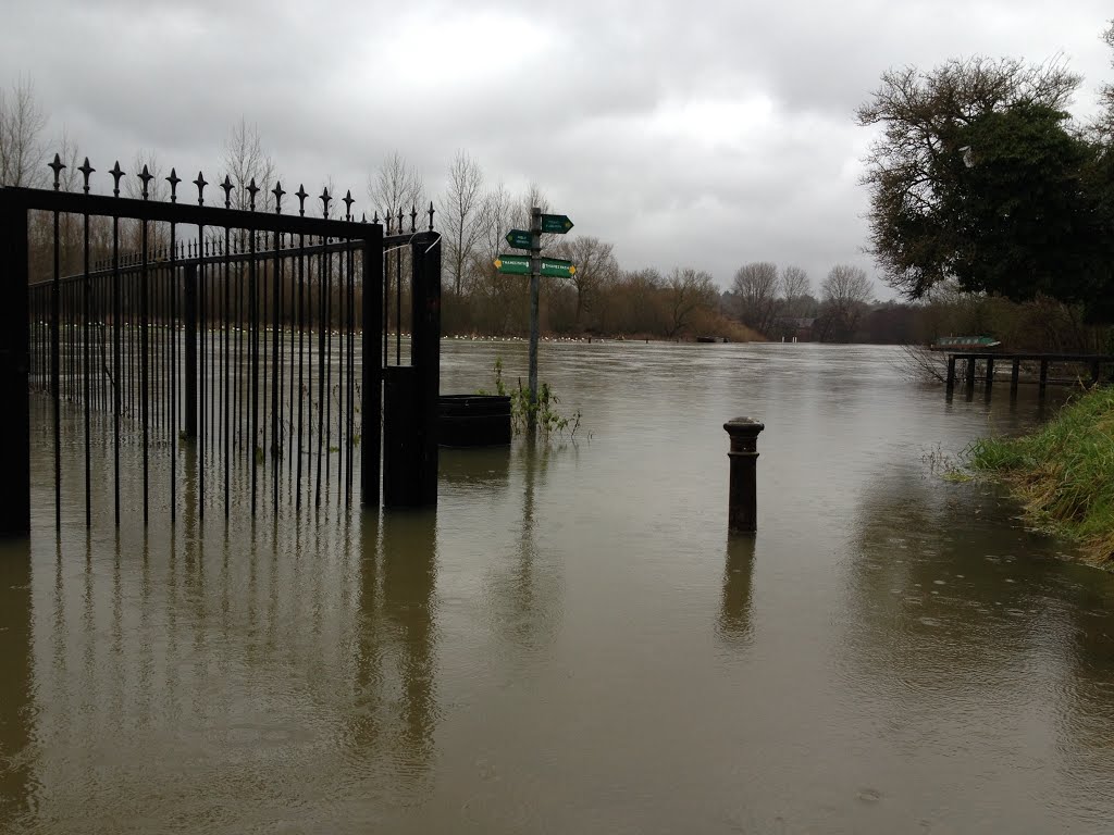 The thames in flood (scours lane Reading) by lunnie172