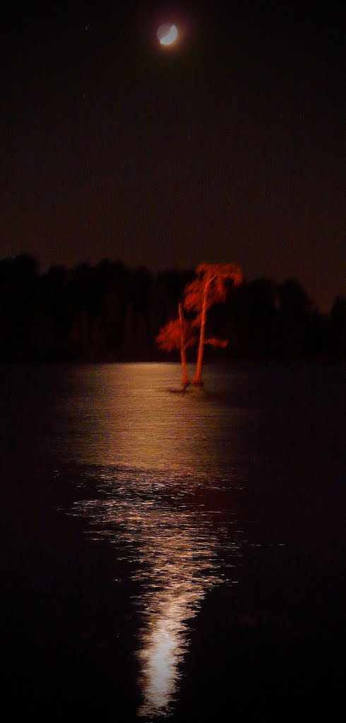 Moonshine on lake by c.cook