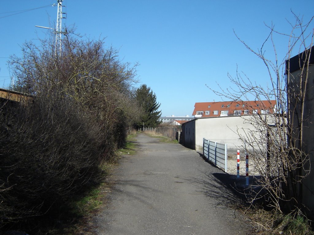 Weg ( in der Nähe der Schildstraße) by Luitbald