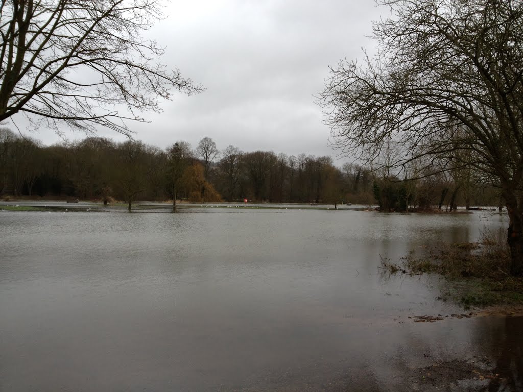 Pangbourne under water by lunnie172