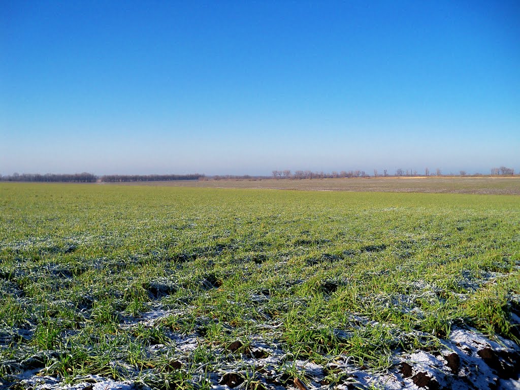 Winter field. Photo Alexander Levenko by Levenko Alexander