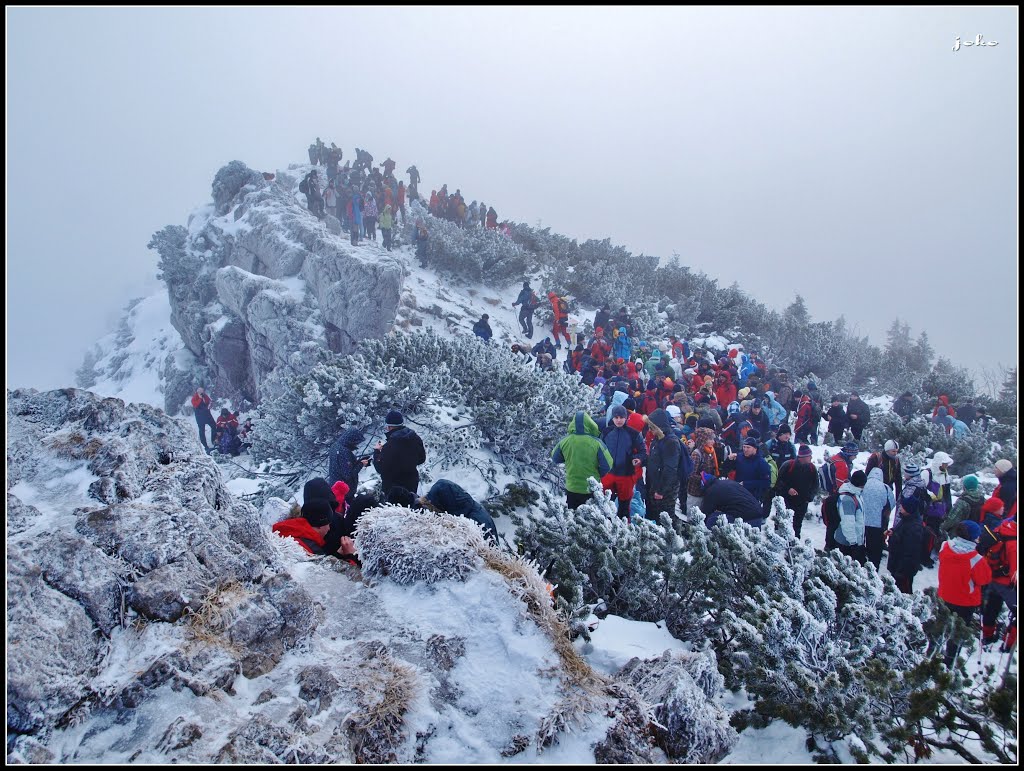 Silvestrovský výstup na VEĽKÝ CHOČ 1 611 m.n.m. - 31.12.2012 by < JOKO >