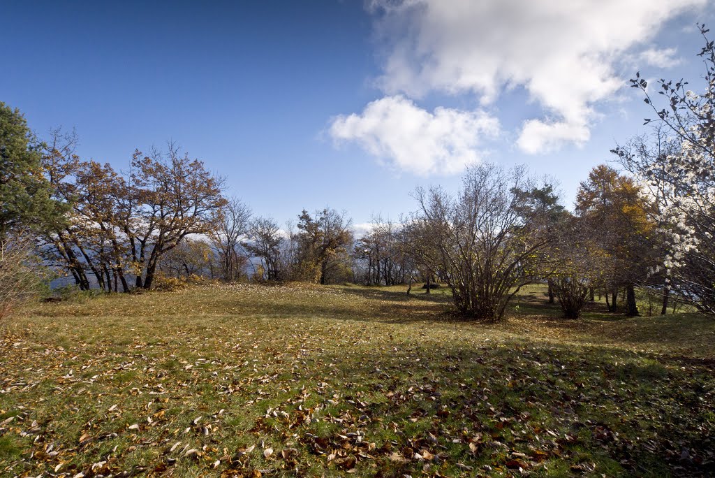 Lo spiazzo di vetta del Monte Calisio by Cipputi