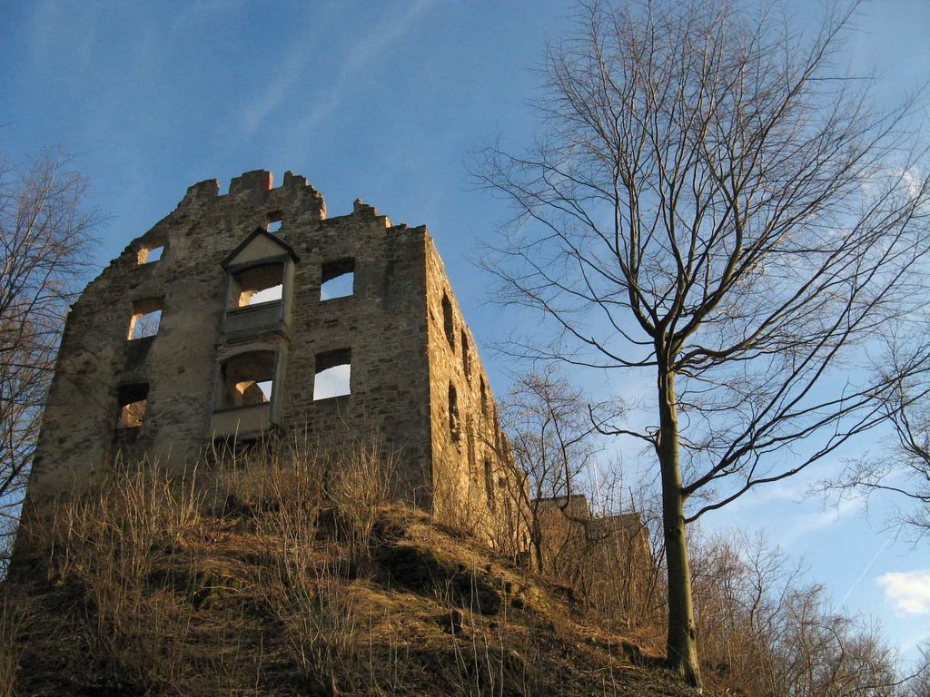 Burgruine Scharfenschloss by vagabunt