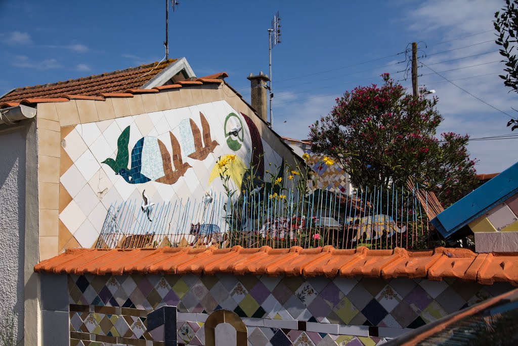 La maison d'un poète sous le soleil de charente. by Bernard Fontaines