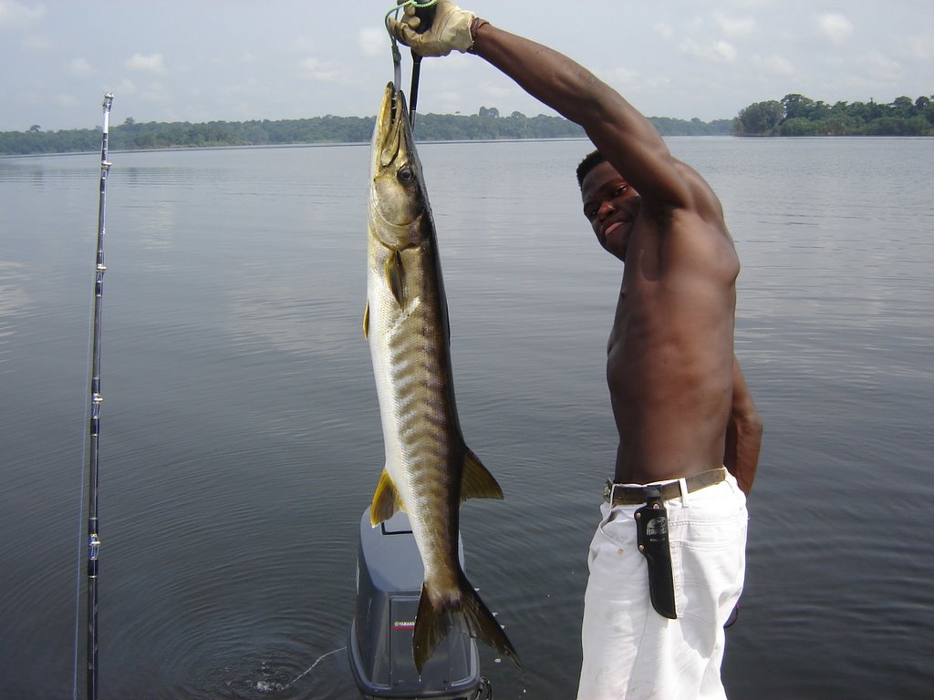 Barracuda de Jean by Pat BarbeBlues