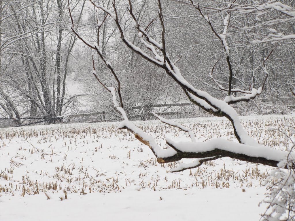 Conewago Recreation Trail Farm Field by Chris Sanfino