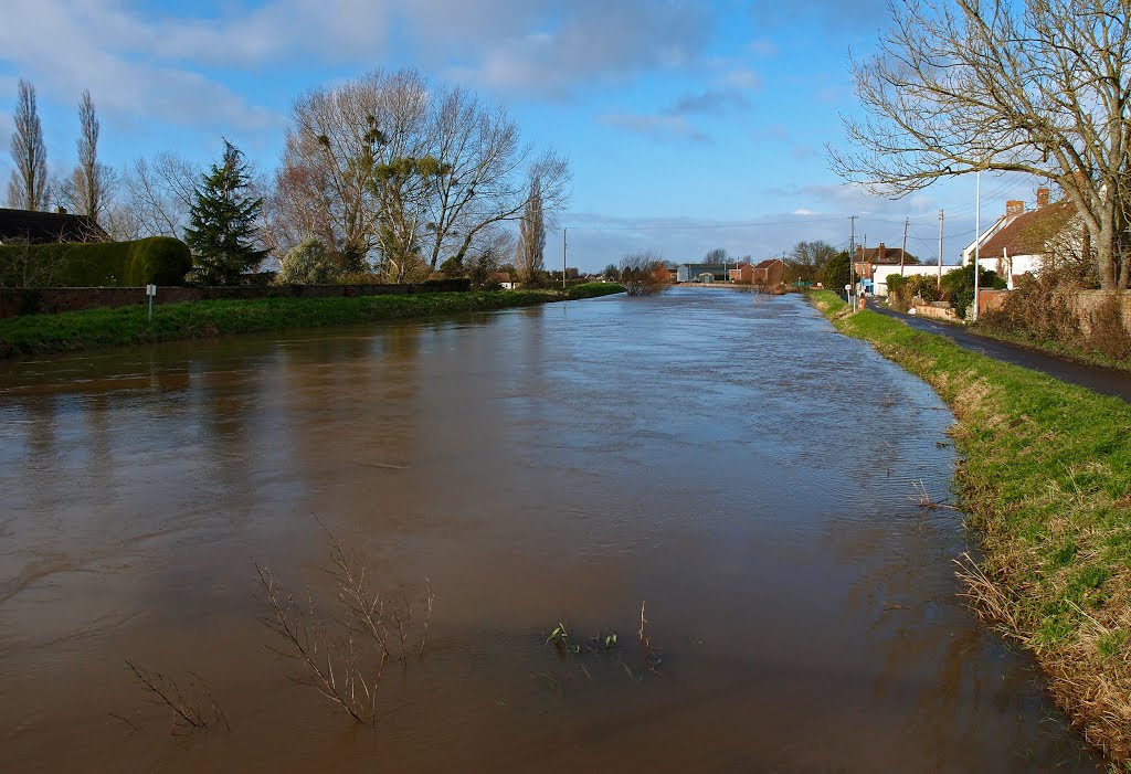 A full Parrett - Dec 2012 by Mike Stuckey