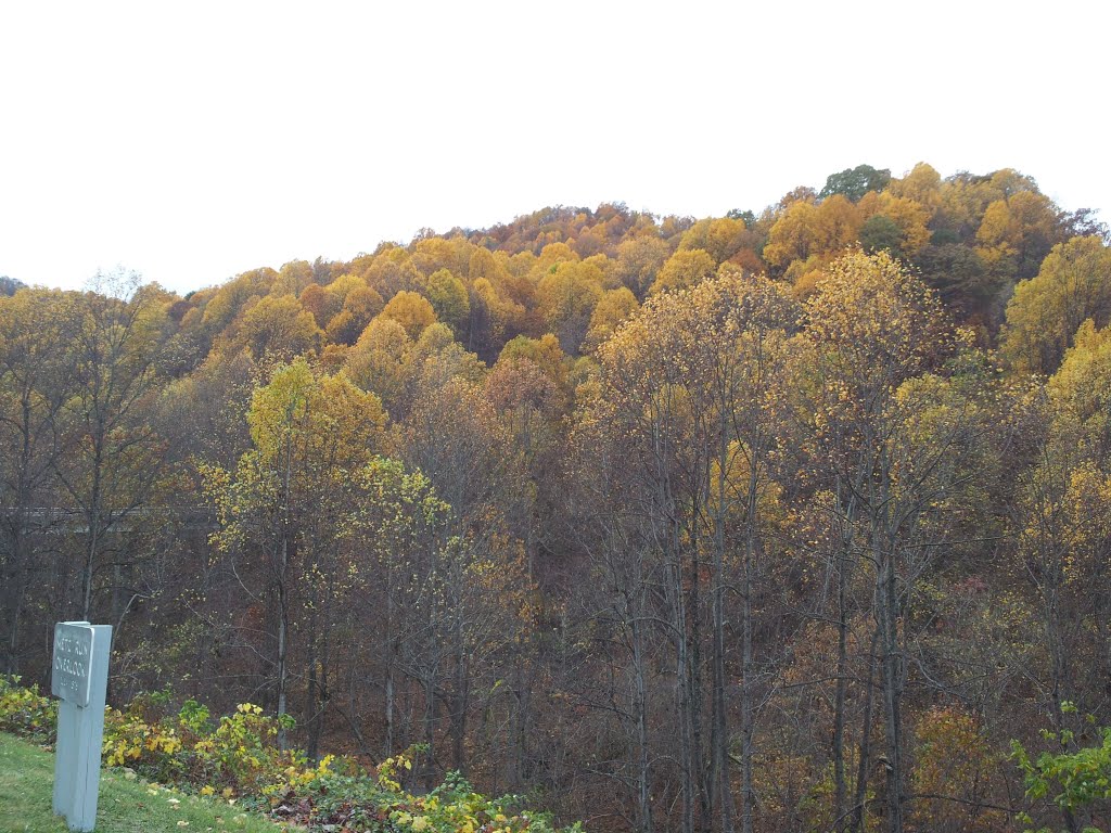 Metz Run Overlook foliage by DieselDucy