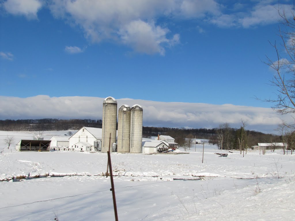 Waggoners Gap Road Silos by Chris Sanfino