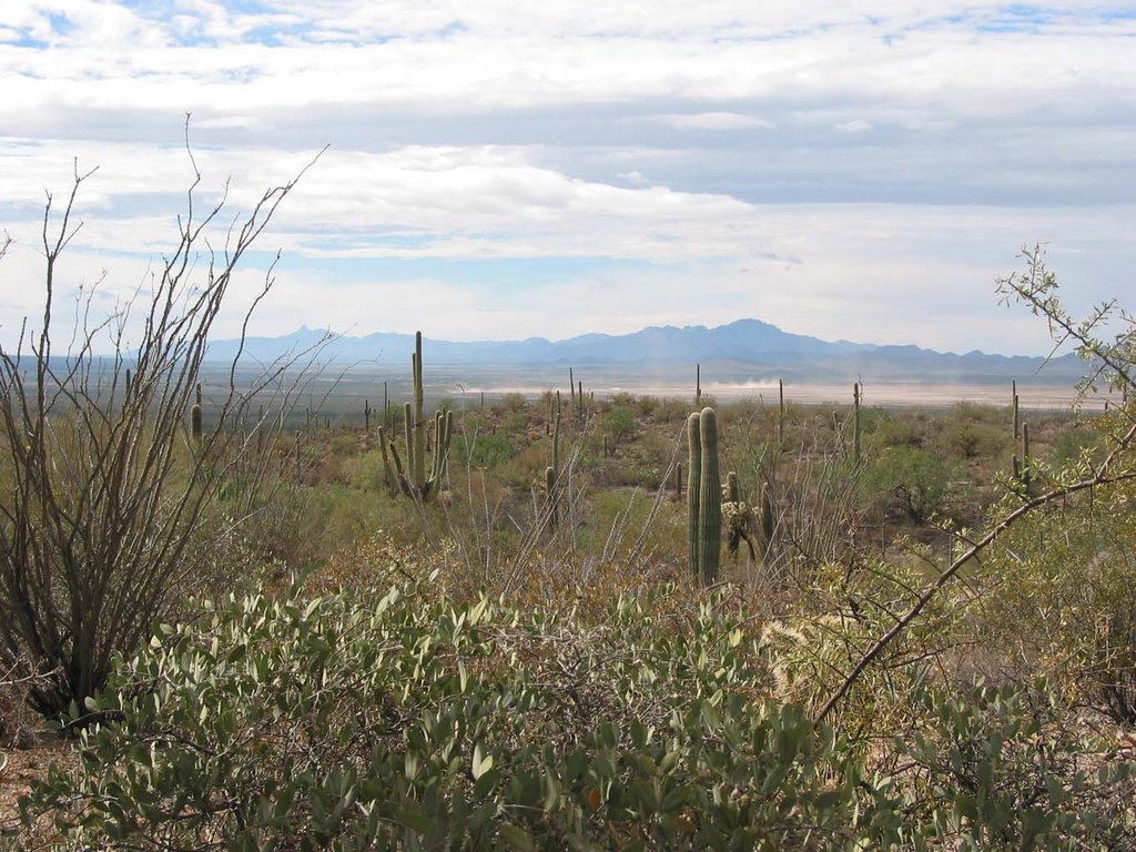 Looking southwest from a shady bench 10/2002 by WillAnne