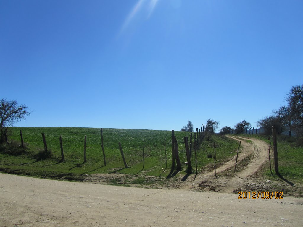 Camino N-676, Colliguay by emilio2010bv