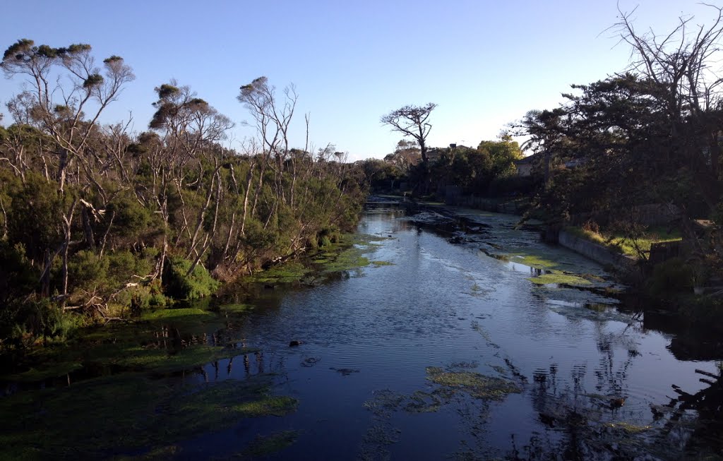 Kananook creek, Seaford, Vic by man_of_Tao