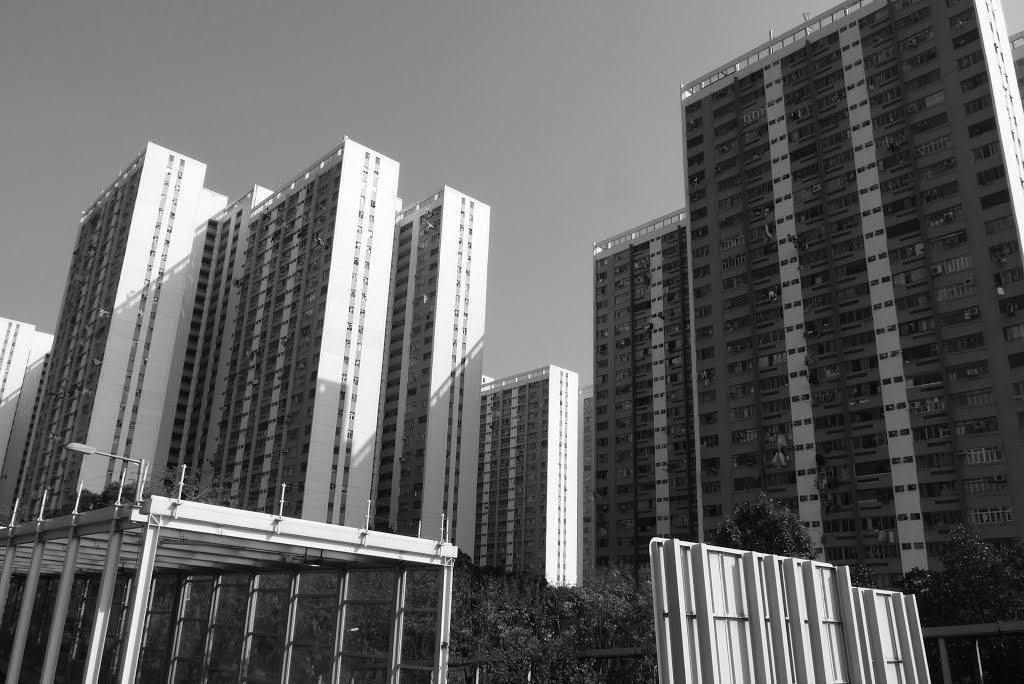 Skyscrapers in Tsuen Wan, Hong Kong by Sven Mueller