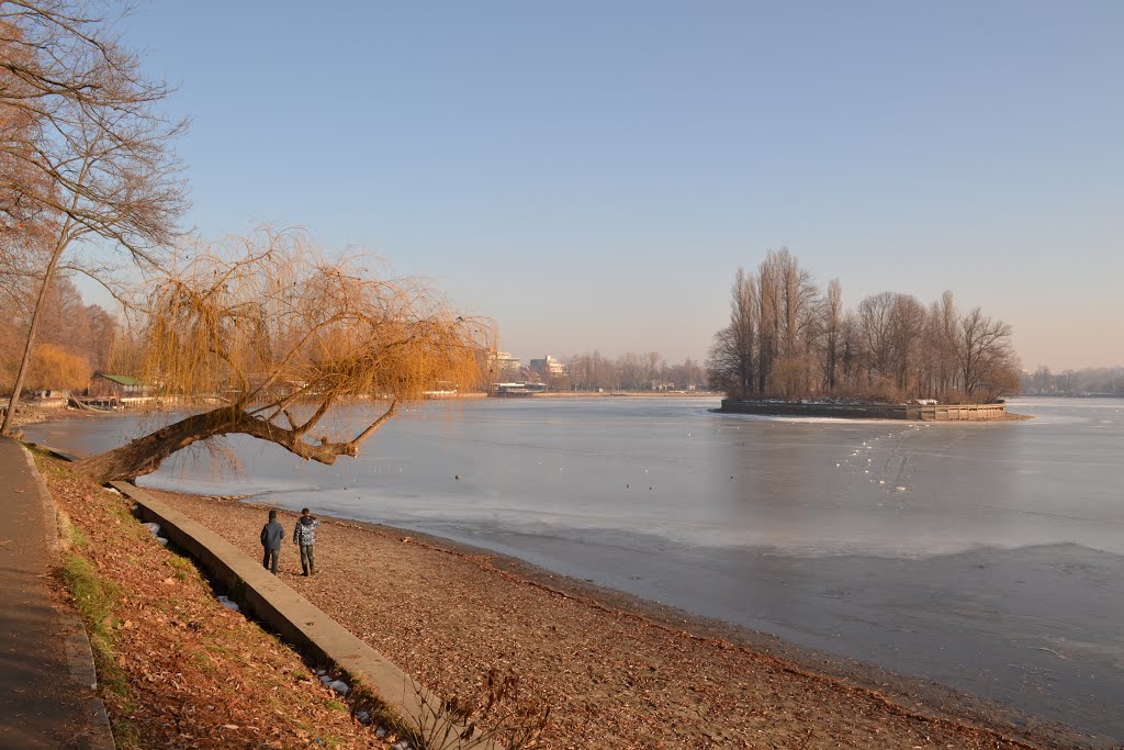 Herastrau Lake by Alexandra Dobrescu