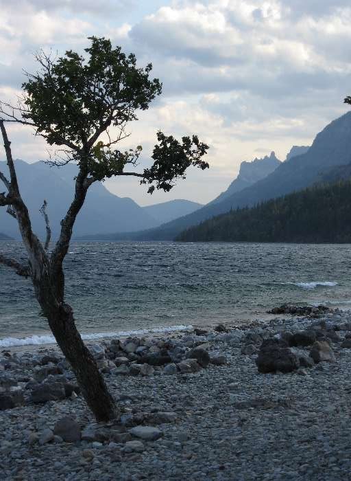 Upper Waterton Lake by Frank Merfort