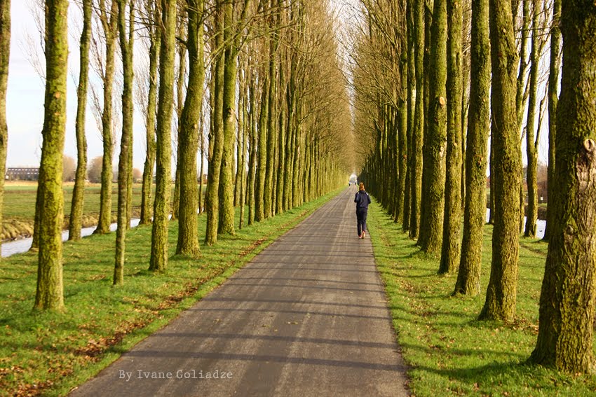 Groningen - Netherlands - By Ivane Goliadze by Ivane Goliadze