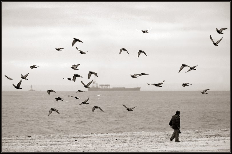 Brighton Beach by Alexey Brudno