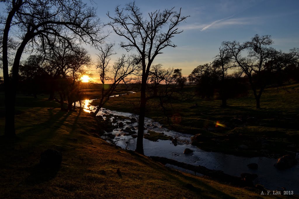 Crevis Creek & Trees. Rancho Murieta, California. December 27, 2012. by A. F. Litt