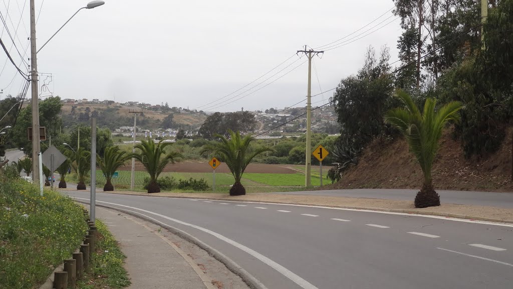 Km.1 .- Carretera de La Fruta - San Antonio by Luis Cesar