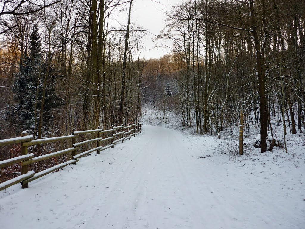 Talsperrenweg, ehem. Kleinbahntrasse Haspe–Voerde–Breckerfeld (Hagen) / 8.12.2012 by Iceman93 / NO VIEWS!!!