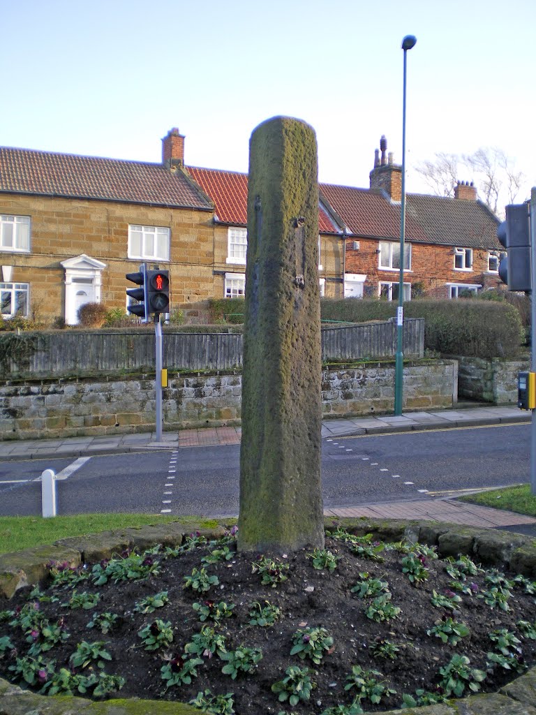 Skelton-in Cleveland Whipping Post. by sharron wilcock