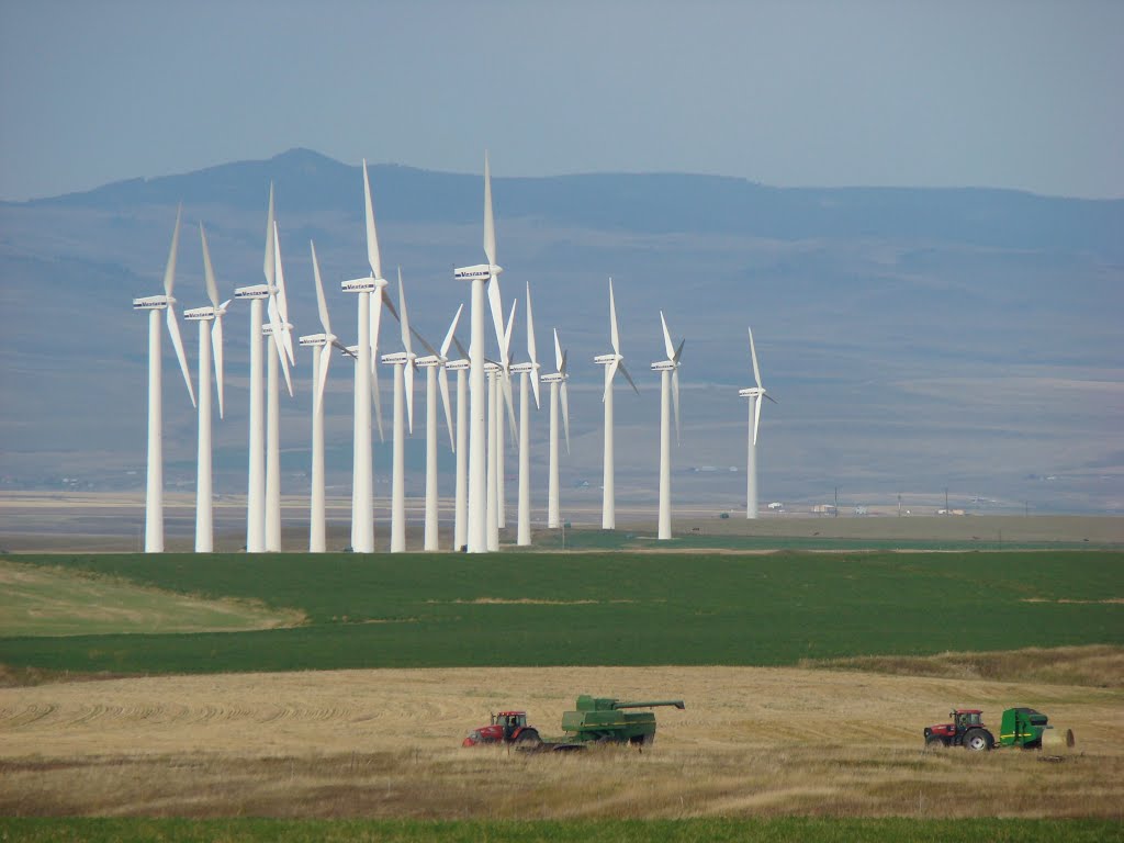 Windpark near Pincher Creek by SuE Welk