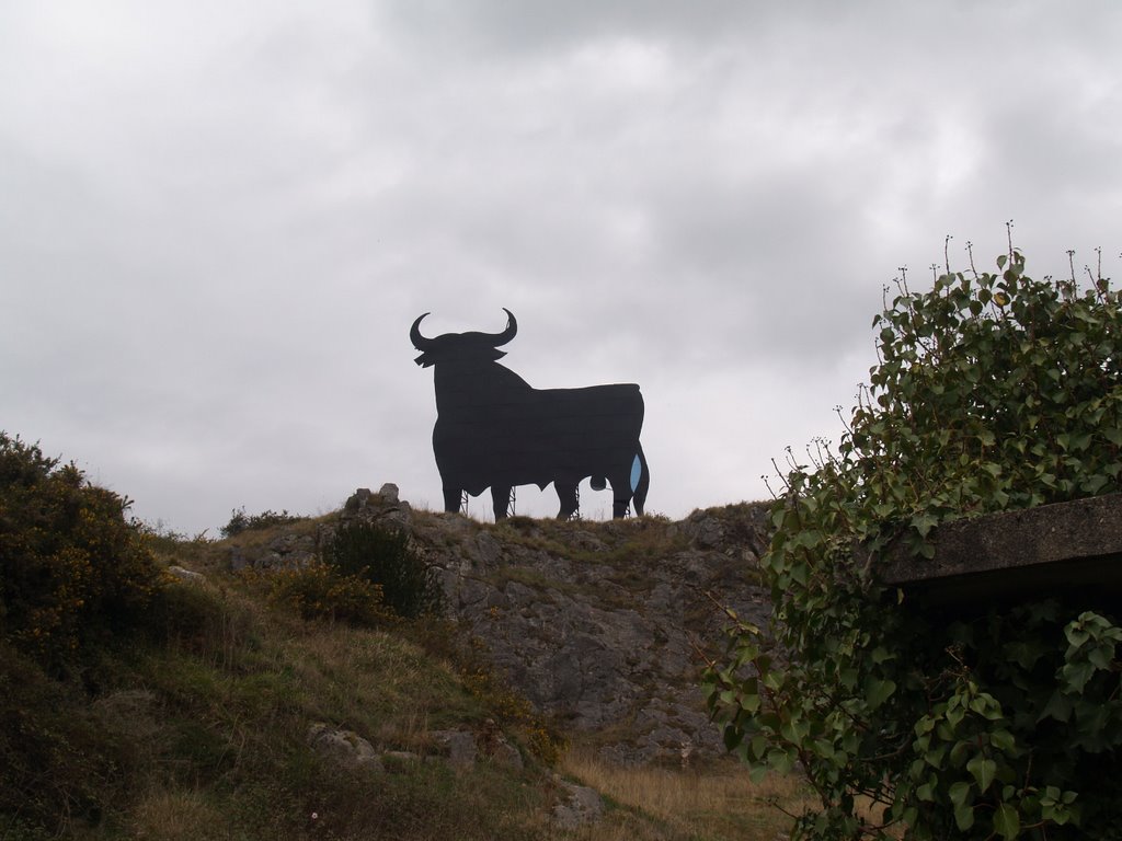 Toro en N-632 camino de Trubia, Trubia, Oviedo( ASturias ) by Corticata