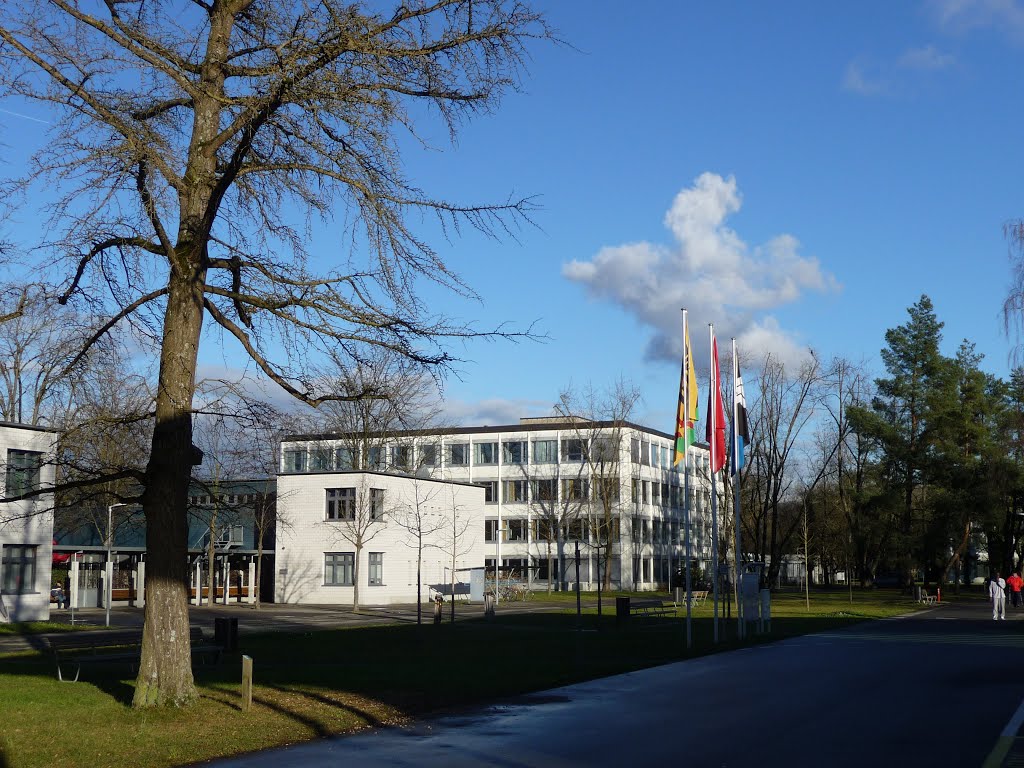 Landschaft im Königsfelder Park by bienenritter