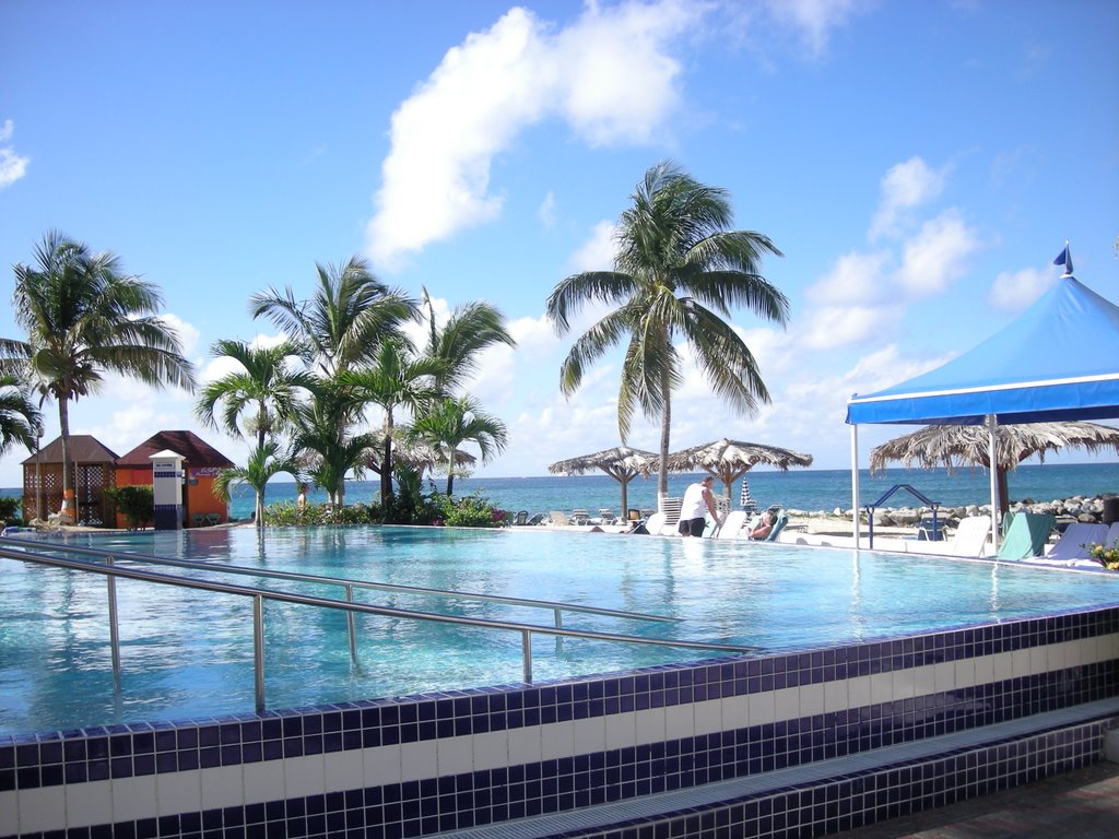 Flamingo Resort Pool, Sint Maarten, NA by Ben Horst