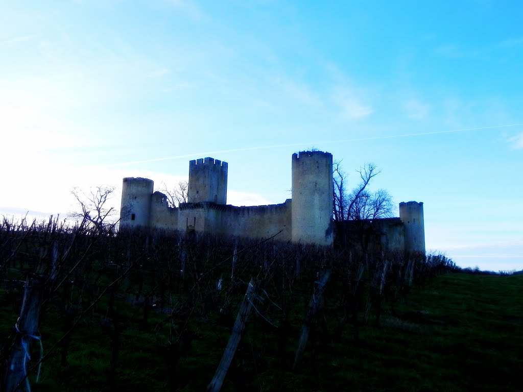 Un chateau dans les vignes by slashlinio