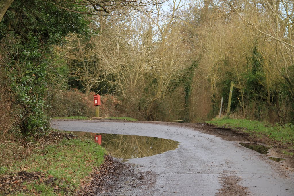 Calleva Roman town - The Brenda Parker way.... heading off to the right and toward Bramley by SBower