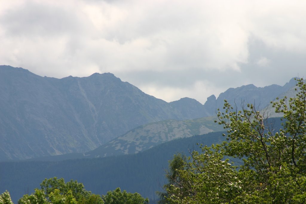 Zakopane widok z parku by Janusz Pach